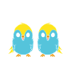 Oiseaux perruches humour petite perruche
