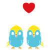 Oiseaux perruches humour petite perruche
