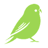Cute little parakeet