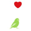 Oiseaux perruches humour petite perruche