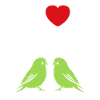 Oiseaux perruches humour petite perruche