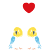 Oiseaux perruches humour petite perruche