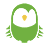 Cute little parakeet