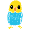 Cute little parakeet
