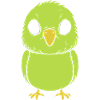 Cute little parakeet