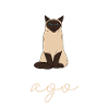 Siamese cat