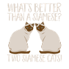 Siamese cat