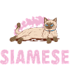 Siamkatze