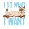 Chat siamois