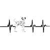 Dalmatian heartbeat