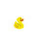 Duck heartbeat