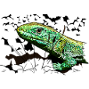A lizard in the garden