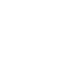 Cat cat kitten