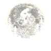 Rower górski Rower górski Mtb Moon