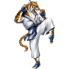 Martial Arts Tiger