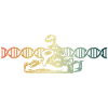 Gokart DNS Kart Racing DNS