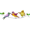 Birds