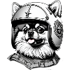 Pomeranian