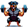 Rottweiler bodybuilder