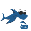 Cool Dude