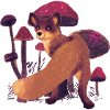 Renard dans les champignons