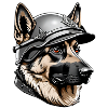 German shepherd