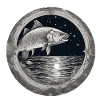 Pike,Fish,Illustration,Black & White,Sea,Circle