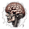 Brain / Knowledge / Intelligence / Clever / Thinking