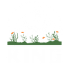 Aquascaping King