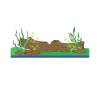 Aquascaping Lover