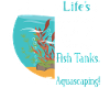 too short for boring fish tanks aquascaping!