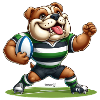 Rugby Bulldog