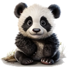 Cute little panda bear