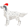 Setter anglais Fundogs Noël