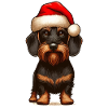 Christmas Dachshund