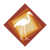 Flamingo Exotic Flamingos