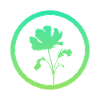 Botanical Flora Flowers