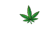 Love Cannabis