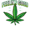 Feeling Good