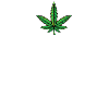 Don't Panic!