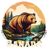 Canada Grizzly Bear