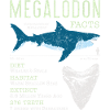 Megalodon Facts