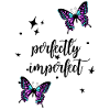 Butterflies, Butterfly T-Hoodie,