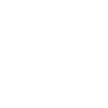 Policier Policier Patriotisme
