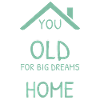 Tiny House Enthusiast Celebrating Simplicity