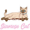 Chat siamois