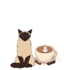 Siamese