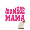 Siamese cat