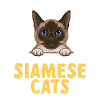 Chat siamois