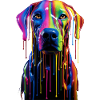 Rainbow Dog